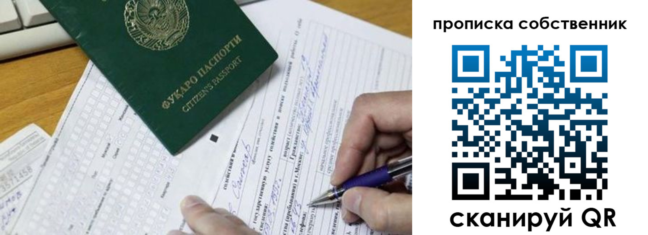 временная регистрация поиск в Луге